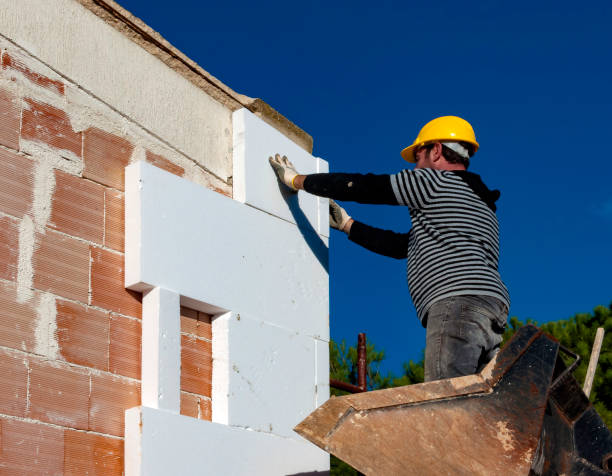 Best Insulation Maintenance and Repair in Hickory Creek, TX